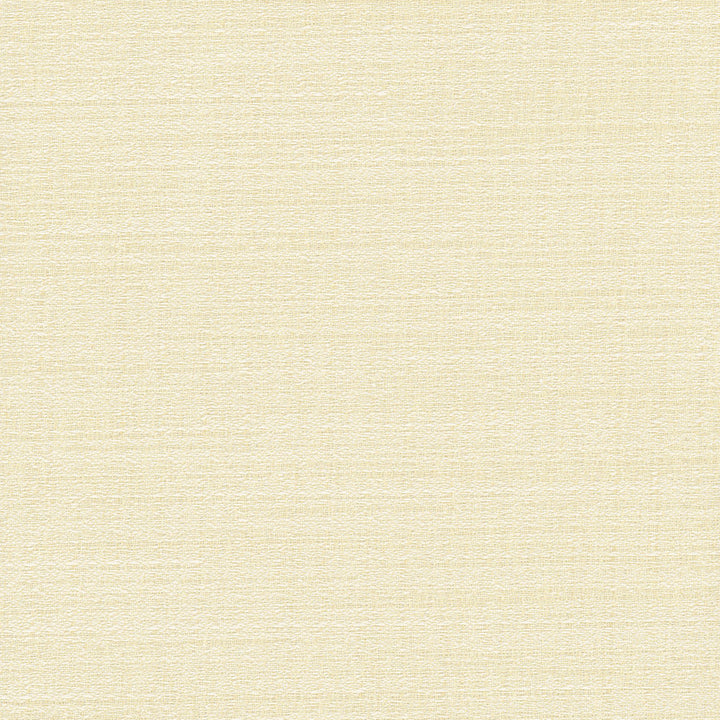 Trampoline Oyster by Carole Designer Fabric For The Window 100% Polyester Turkey N/A Horizontal: 0 and Vertical: 0 60 - Swanky Fabrics -