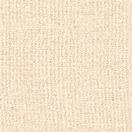 Northwind Dune by Carole Designer Fabric New Northwind III,New Northwind IV,New Northwind IV,Northwind V 100% Polyester India None 54" - Swanky Fabrics -