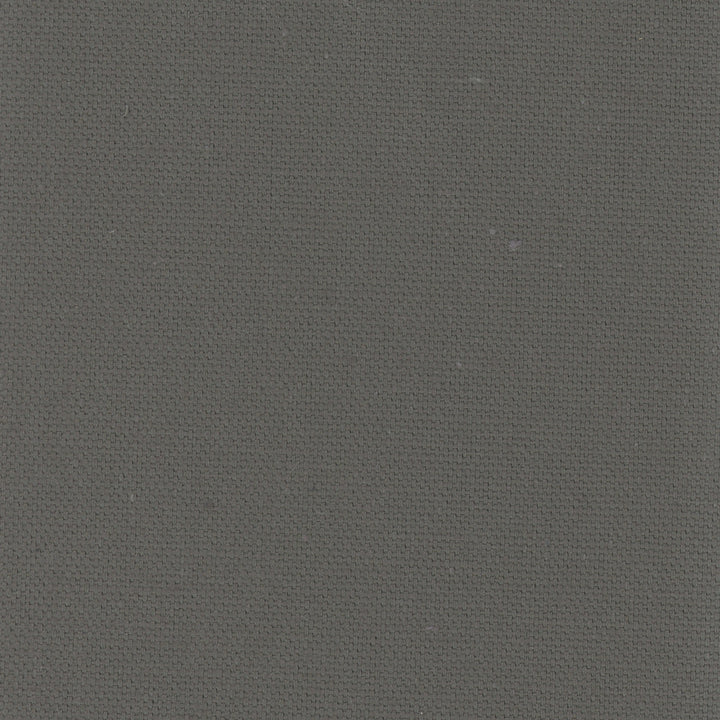 Daydreamer Graphite by Carole Designer Fabric Daydreaming 100% Cotton- Soil Release USA Passes 30,000 Double Rubs Wyzenbeek Horizontal: 0 and Vertical: 0 54 - Swanky Fabrics -