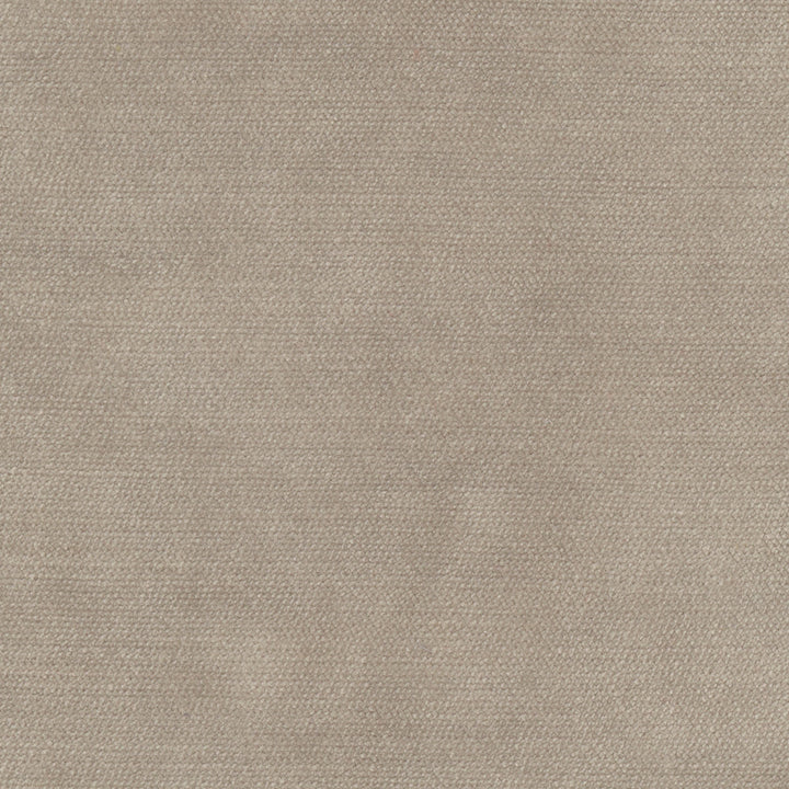 Cool Touch Fossil by Carole Designer Fabric Touch Of Luxury 100% Polyester Turkey 50,000 Wyzenbeek Double Rubs Horizontal: 0 and Vertical: 0 54 - Swanky Fabrics -