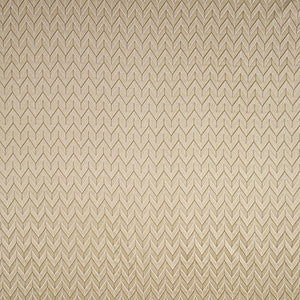 This Way Champagne by Carole Designer Fabric