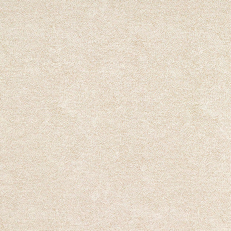 <p>Interior Canvas by Carole Designer Fabric</p><p><strong>Required Minimum Quantity Purchase: 2 yards</strong></p><p>Book: Quiet Luxury</p><p>Content: 72% Polyester, 28% Cotton</p><p>Origin: </p><p>Performance: N/A</p><p>Repeat: None</p><p>Width: 54""</p>