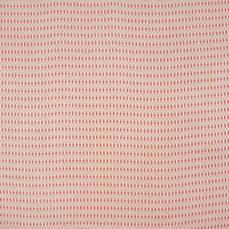 Scavenger Hunt Canyon by Carole Designer Fabric Geranium 93% Rayon,6% Flax,1% Poly-Acrylic Backing Woven In USA Passes 33,000 Double Rubs Wyzenbeek 1 3/8" V, 1/2" H 55" - Swanky Fabrics -