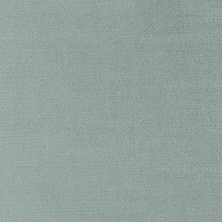 Regal Touch Lichen by Carole Designer Fabric Touch Of Luxury 100% Polyester Turkey 15,000 Wyzenbeek Double Rubs None 55" - Swanky Fabrics -