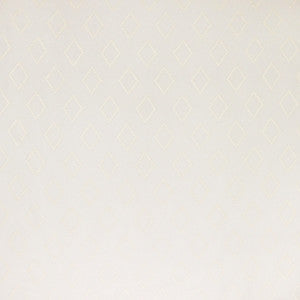 Infinite View Ivory by Carole Designer Fabric