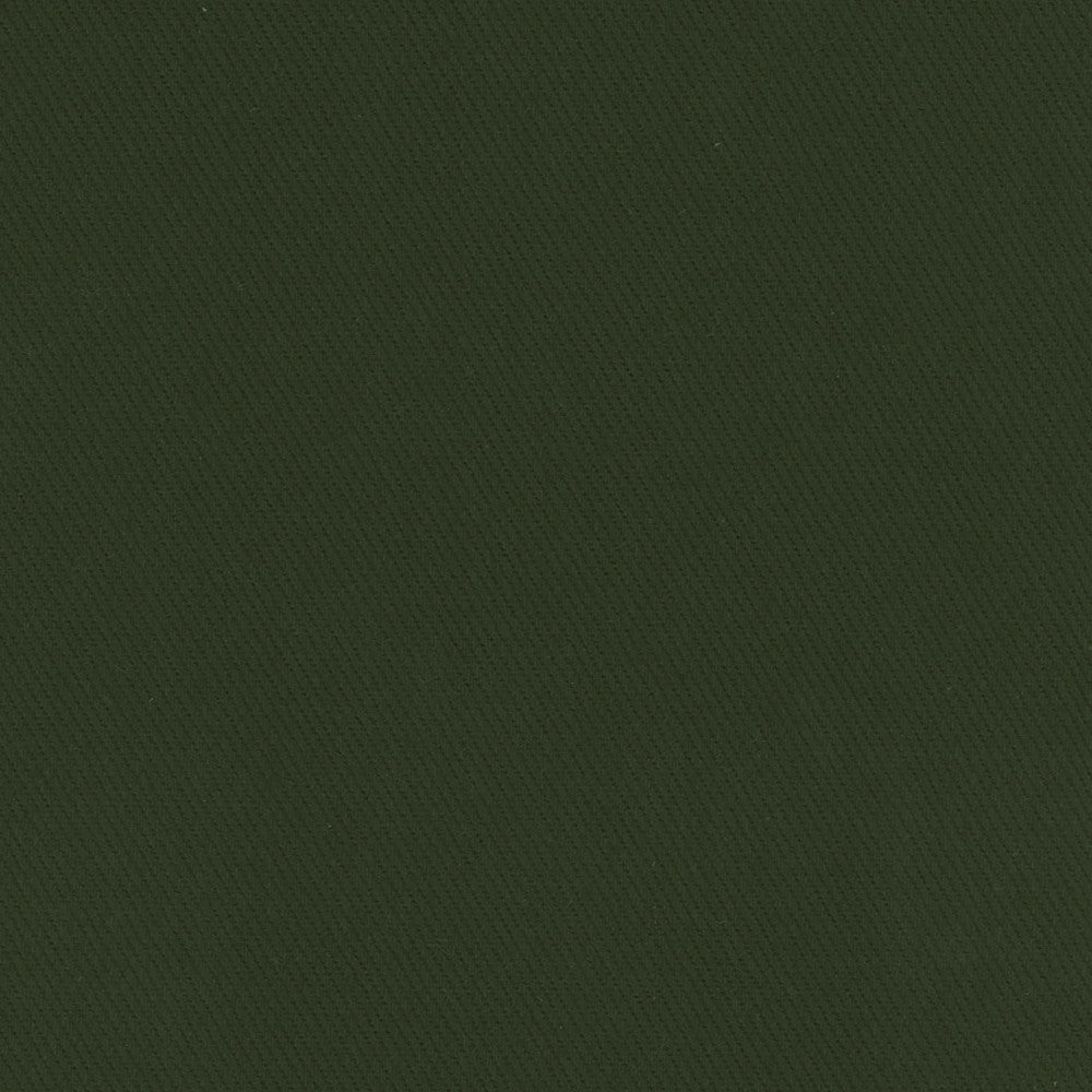 Kirkland Deep Green by Carole Designer Fabric Celadon 100% Cotton Brazil Passes 30,000 Double Rubs Wyzenbeek Horizontal: 0 and Vertical: 0 64 - Swanky Fabrics -