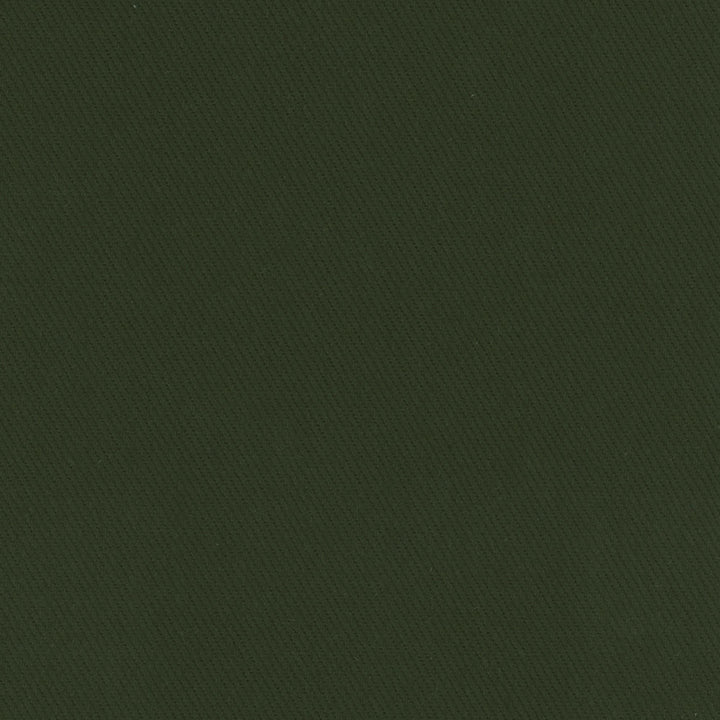 Kirkland Deep Green by Carole Designer Fabric Celadon 100% Cotton Brazil Passes 30,000 Double Rubs Wyzenbeek Horizontal: 0 and Vertical: 0 64 - Swanky Fabrics -