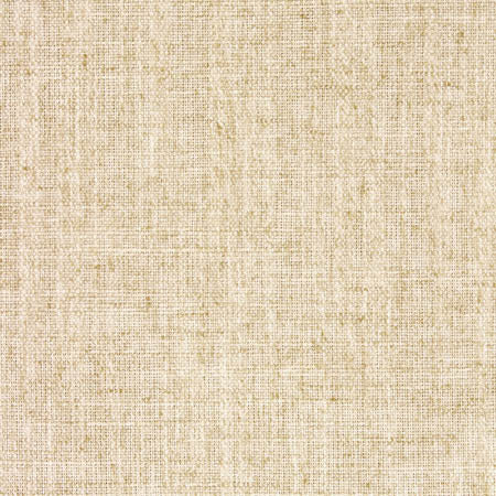 Critic Natural by Carole Designer Fabric Toasted Almond 85% Polyester, 15% Linen INDIA N/A None 54" - Swanky Fabrics -