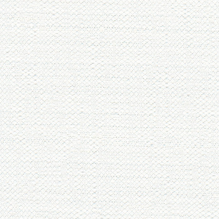 Harpoon White by Carole Designer Fabric Opal 100% Polyester India N/A Horizontal: None and Vertical: None 54" - Swanky Fabrics -