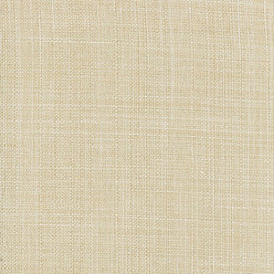 Sightsee Taupe by Carole Designer Fabric