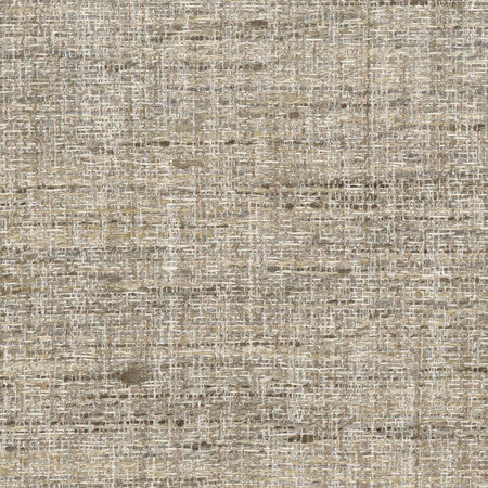Pop Fly Latte by Carole Designer Fabric Texture Theory,Let's Mingle 100% Polyester India N/A None 57" - Swanky Fabrics -