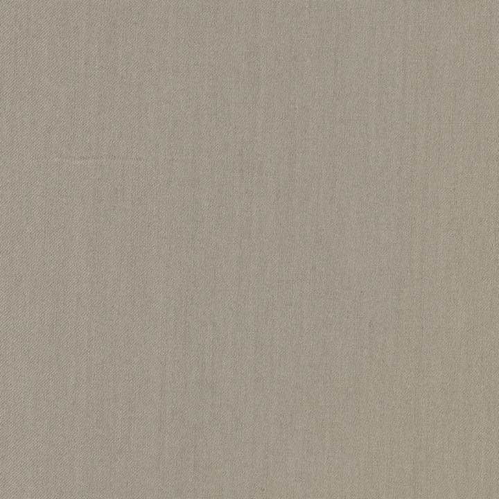 Comfort Seal by Carole Designer Fabric Daydreaming 100% Cotton India Passes 21,000 Double Rubs Wyzenbeek Horizontal: 0 and Vertical: 0 54 - Swanky Fabrics -