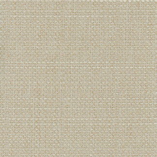 Air Time Cocoon by Carole Designer Fabric Sensibility 100% Polyester Taiwan NONE 54" - Swanky Fabrics -