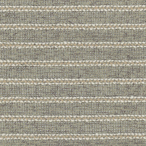 Take Your Time Granite by Carole Designer Fabric