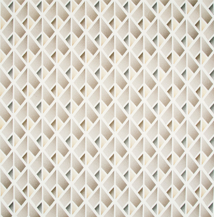 Problem Solved Natural by Carole Designer Fabric Birch 70% Cotton, 30% Polyester India N/A Horizontal: 55 and Vertical: 625 515 - Swanky Fabrics -