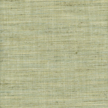 Gear Up Peapod by Carole Designer Fabric Celadon 100% Polyester India Passes 30,000 Double Rubs Wyzenbeek </p><p>Repeat: None 5475" - Swanky Fabrics -