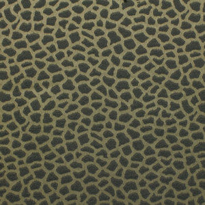Terlato Viridian Grey by Carole Designer Fabric