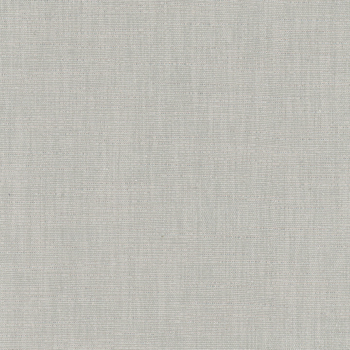 Athlete Sterling by Carole Designer Fabric Pewter 60% Cotton, 40% Polyester India Passes 50,000 Double Rubs Wyzenbeek Horizontal: 0 and Vertical: 0 55 - Swanky Fabrics -