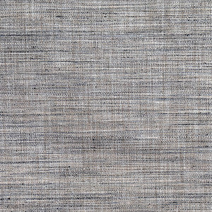 Prodigy Granite by Carole Designer Fabric