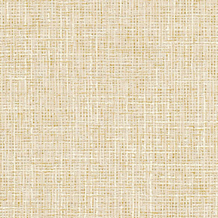 Adjuster Parchment by Carole Designer Fabric Sunbaked 62% Polyester, 32% Cotton, 6% Viscose INDIA 27,000 Wyzenbeek Double Rubs None 54" - Swanky Fabrics -