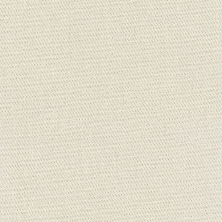 Kirkland Off White by Carole Designer Fabric Opal 100% Cotton Brazil Passes 30,000 Double Rubs Wyzenbeek Horizontal: 0 and Vertical: 0 64 - Swanky Fabrics -