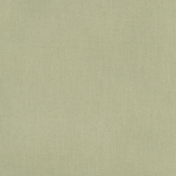 Fleeting Basil by Carole Designer Fabric Royale 100% Polyester India Passes 50,000 Double Rubs Wyzenbeek Horizontal: 0 and Vertical: 0 54 - Swanky Fabrics -