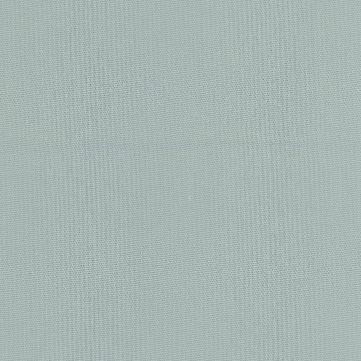 Daydreamer Mist by Carole Designer Fabric Daydreaming 100% Cotton- Soil Release USA Passes 30,000 Double Rubs Wyzenbeek Horizontal: 0 and Vertical: 0 54 - Swanky Fabrics -