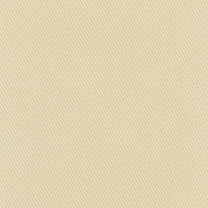 Reminder Pebble by Carole Designer Fabric