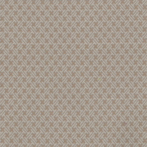 Bigelow Greige by Carole Designer Fabric