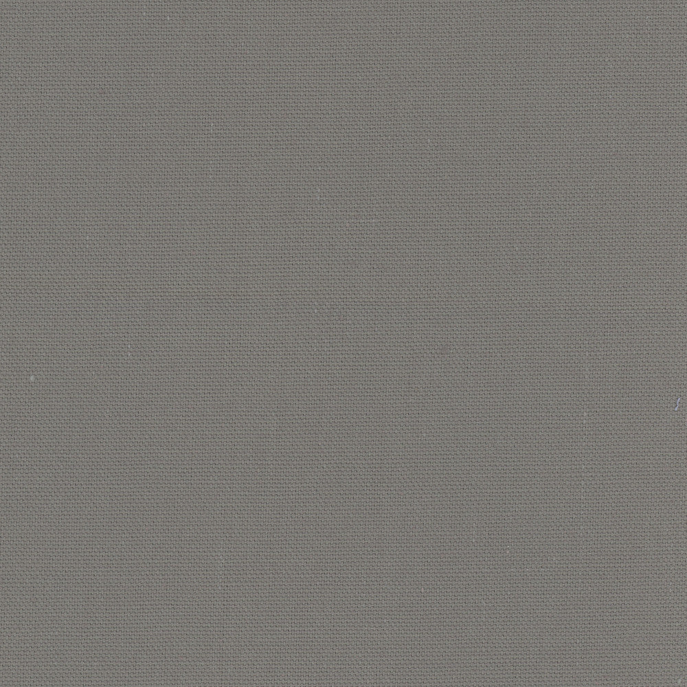 Daydreamer Ash Grey by Carole Designer Fabric Daydreaming 100% Cotton- Soil Release USA Passes 30,000 Double Rubs Wyzenbeek Horizontal: 0 and Vertical: 0 54 - Swanky Fabrics -