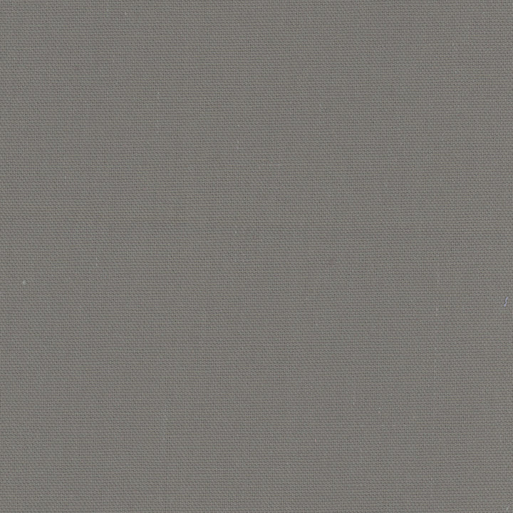 Daydreamer Ash Grey by Carole Designer Fabric Daydreaming 100% Cotton- Soil Release USA Passes 30,000 Double Rubs Wyzenbeek Horizontal: 0 and Vertical: 0 54 - Swanky Fabrics -