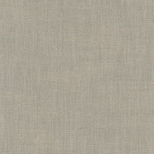 Athlete Slate by Carole Designer Fabric