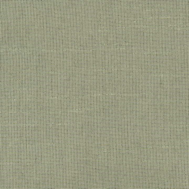 Fleeting Olive by Carole Designer Fabric Royale 100% Polyester India Passes 50,000 Double Rubs Wyzenbeek Horizontal: 0 and Vertical: 0 54 - Swanky Fabrics -