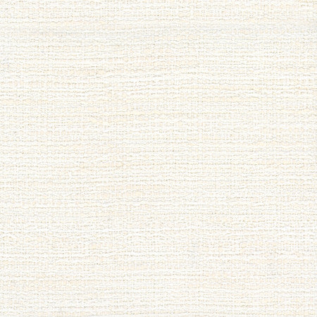 No Problem Pearl by Carole Designer Fabric Alliance 81% Polyester, 19% Cotton Turkey None 60"" - Swanky Fabrics -