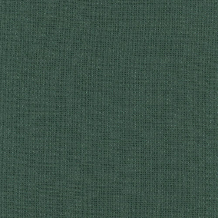 Narration Jardin by Carole Designer Fabric Narrator 100% Polyester Mexico Passes 30,000 Double Rubs Wyzenbeek Horizontal: 0 and Vertical: 0 54 - Swanky Fabrics -