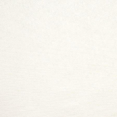 Gravel Path Cream by Carole Designer Fabric State Of The Art 100% Polyester INDIA None 54" - Swanky Fabrics -