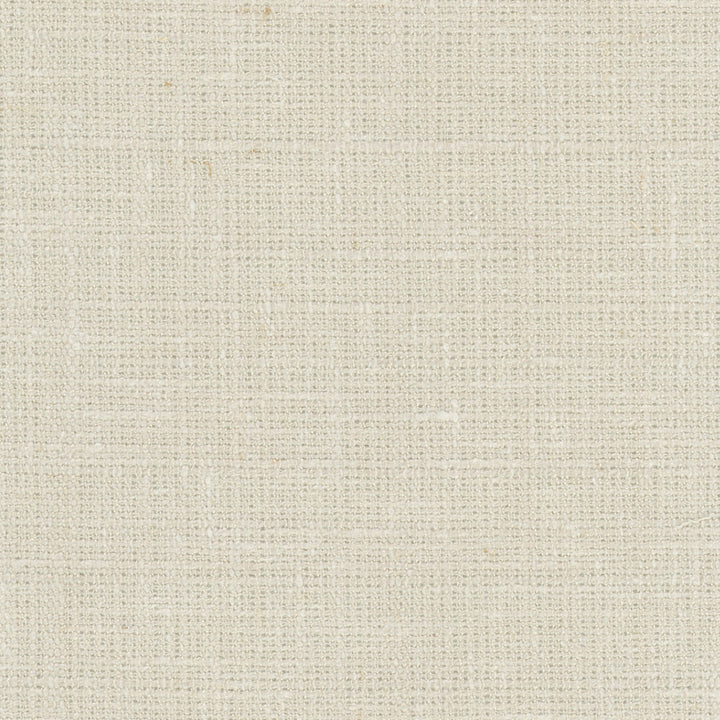 Inner Child Parchment by Carole Designer Fabric Opal 66% Polyester, 21% Cotton, 13% Linen India Passes 15,000 Double Rubs Wyzenbeek Horizontal: 0 and Vertical: 0 54 - Swanky Fabrics -
