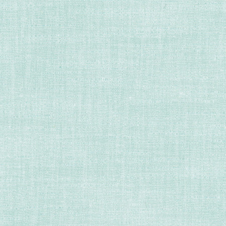 Athlete River by Carole Designer Fabric Celadon 60% Cotton, 40% Polyester India Passes 50,000 Double Rubs Wyzenbeek None 55" - Swanky Fabrics -