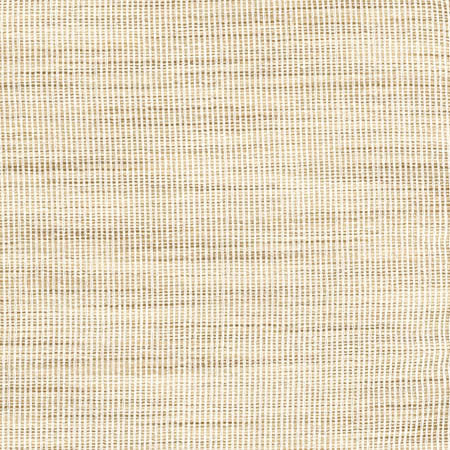 Secret Service Parchment by Carole Designer Fabric Toasted Almond 100% Polyester INDIA N/A None 54" - Swanky Fabrics -