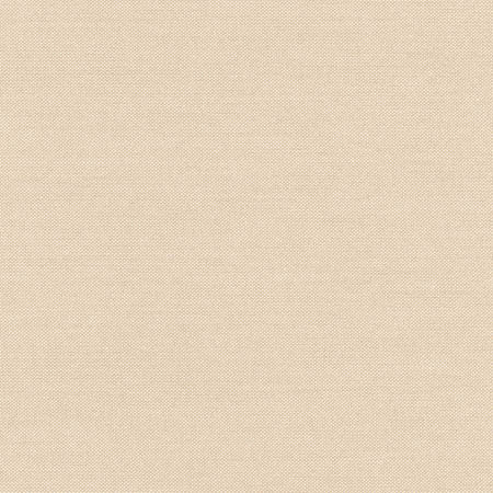 Freshman Sand by Carole Designer Fabric Toasted Almond 100% Polyester INDIA 100,000 Wyzenbeek Double Rubs None 54" - Swanky Fabrics -
