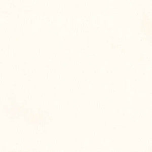 Freshman Parchment by Carole Designer Fabric
