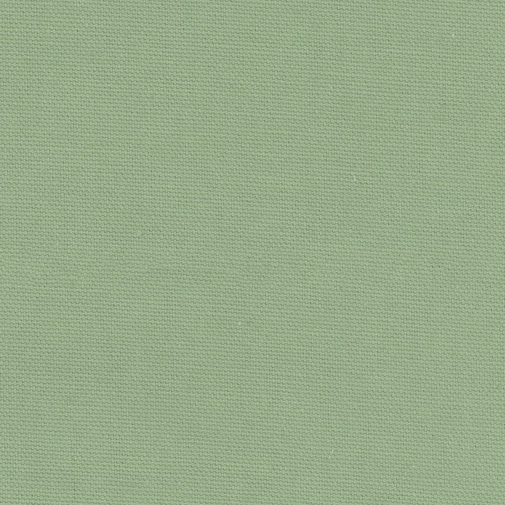 Daydreamer Seafoam by Carole Designer Fabric Daydreaming 100% Cotton- Soil Release USA Passes 30,000 Double Rubs Wyzenbeek Horizontal: 0 and Vertical: 0 54 - Swanky Fabrics -