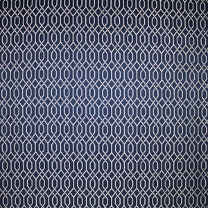 Major Ocean by Carole Designer Fabric