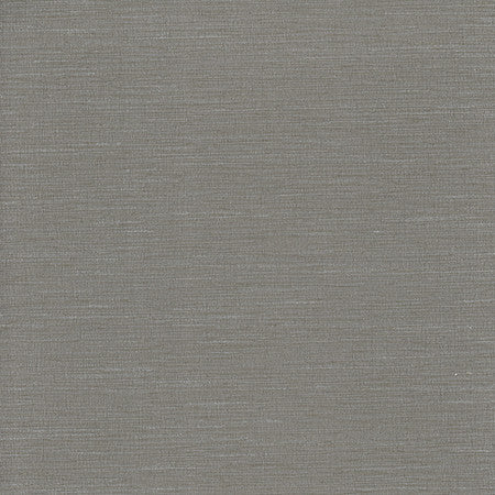 Optimism Aluminium by Carole Designer Fabric Synchrony 100% IFR Polyester India None 54" - Swanky Fabrics -