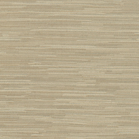 Suntan Putty by Carole Designer Fabric Excursion 95% Polyester, 5% Cotton India 8,000 Wyzenbeek Double Rubs None 56.5" - Swanky Fabrics -