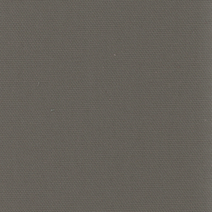 Daydreamer Gunmetal by Carole Designer Fabric Daydreaming 100% Cotton- Soil Release USA Passes 30,000 Double Rubs Wyzenbeek Horizontal: 0 and Vertical: 0 54 - Swanky Fabrics -