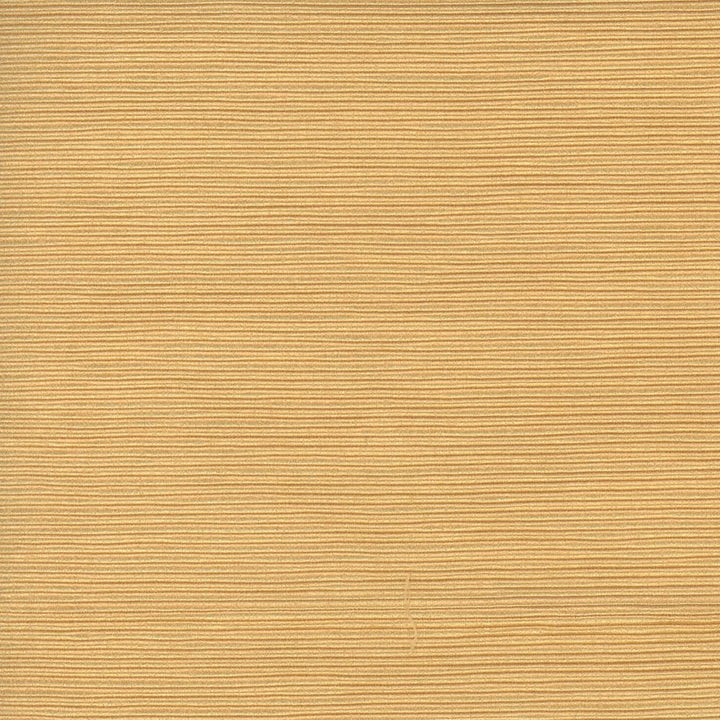 First Novel Straw by Carole Designer Fabric Stationery 72% Rayon, 28% Polyester China Passes 30,000 Double Rubs Wyzenbeek Horizontal: 0 and Vertical: 0 55 - Swanky Fabrics -