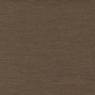 First Novel Driftwood by Carole Designer Fabric STATIONERY 72% Rayon, 28% Polyester China Passes 30,000 Double Rubs Wyzenbeek </p><p>Repeat: None 55" - Swanky Fabrics -