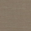 Optimism Slate by Carole Designer Fabric