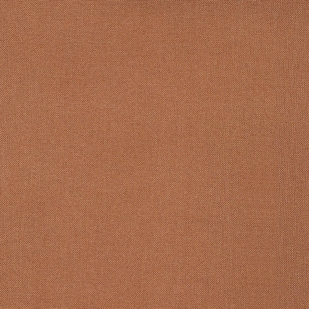 Reform Sienna by Carole Designer Fabric Reclamation 100% Recycled Polyester 50,000 Wyzenbeek Double Rubs None 54" - Swanky Fabrics -